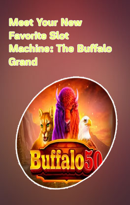 Buffalo slots casino
