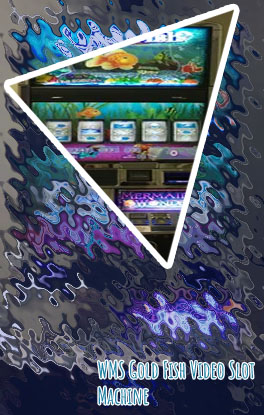 Gold fish slot machine